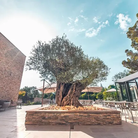 Ilot Du Golf Bw Premier Collection Hotel Mandelieu